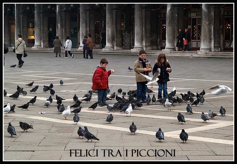 Felici-tra-i-piccioni.jpg