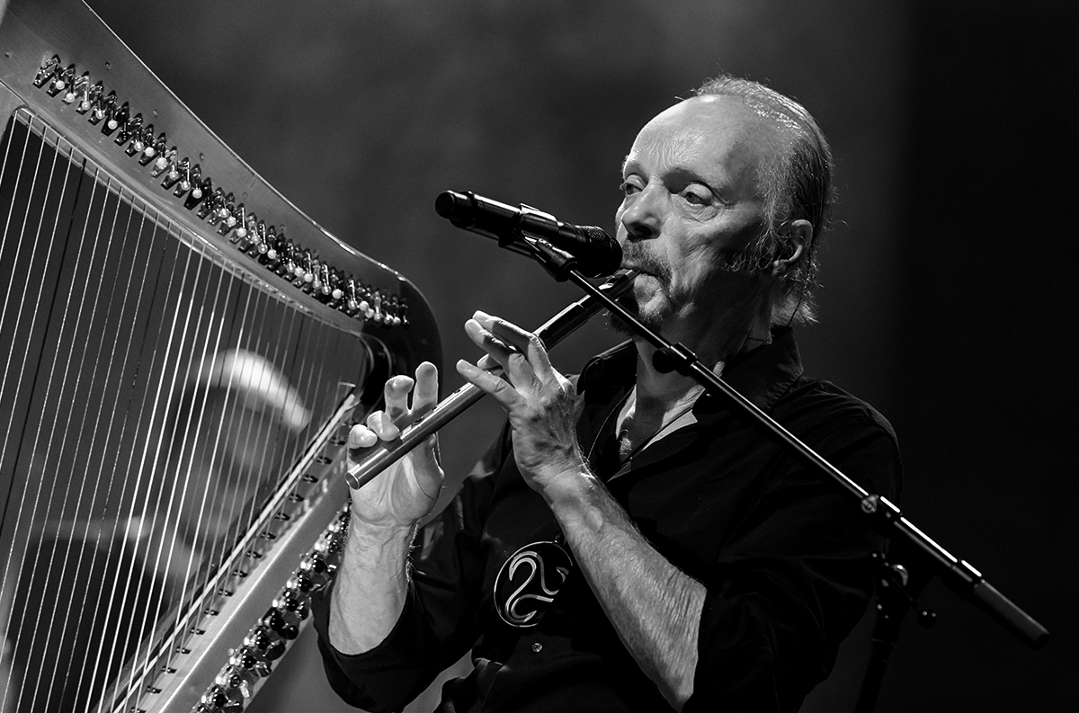 Festival_de_Cornouaille_2016_-_Alan_Stivell_-_13.jpg