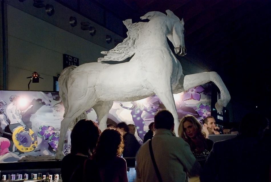 fiera-Rimini-9a---ISO-400-F.-4,5---1_20--sec_1.jpg