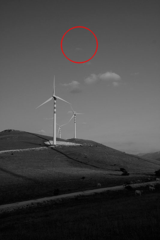 Fig.3.jpg