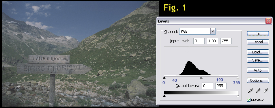 fig1.jpg