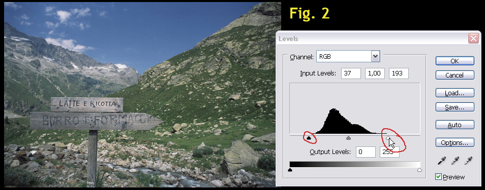 Fig2.jpg