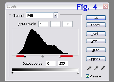 fig4.jpg