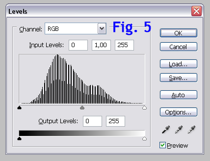 fig5.jpg
