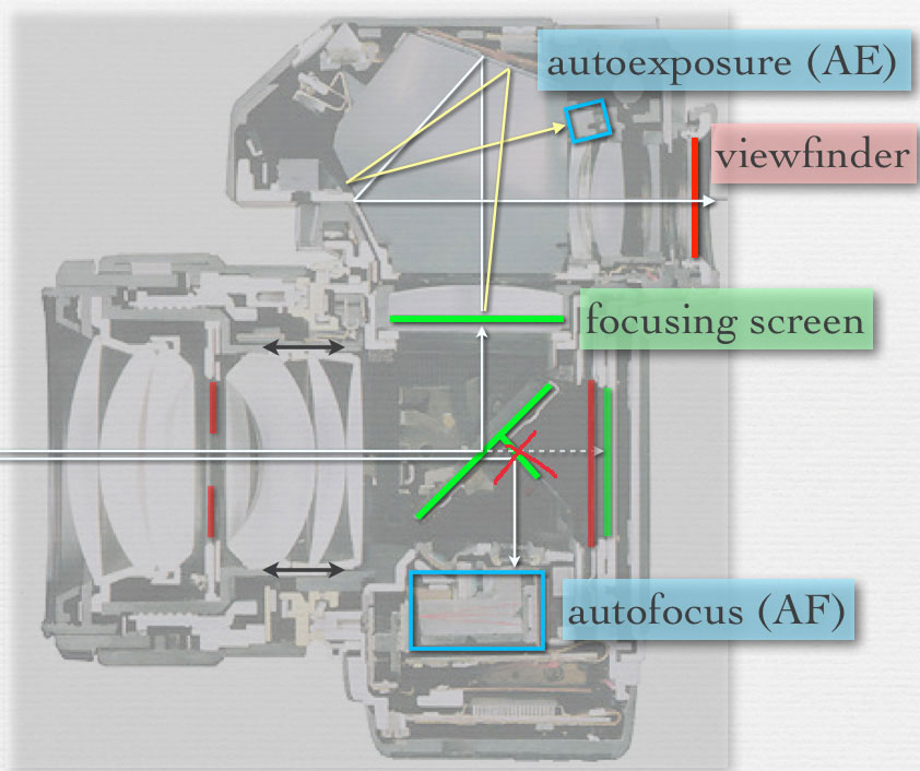 figura-1.jpg