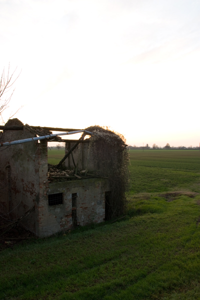 file-originale-ombre.jpg