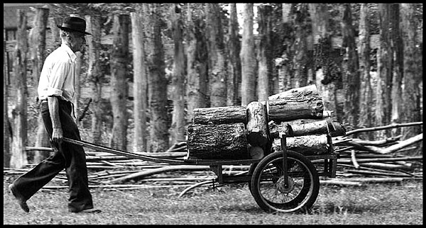 file0001[1].jpg