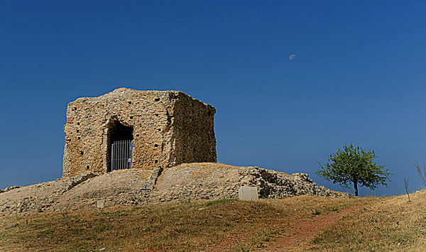 fiorentino2.jpg