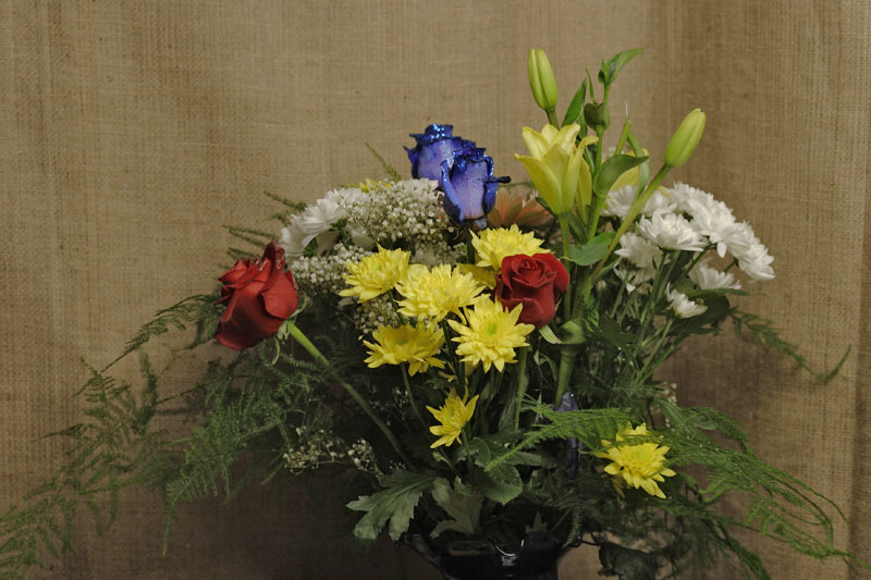 fiori-a-montecchio1-rid.jpg