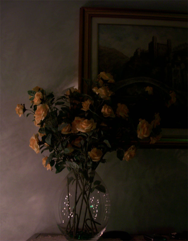 fiori1.jpg