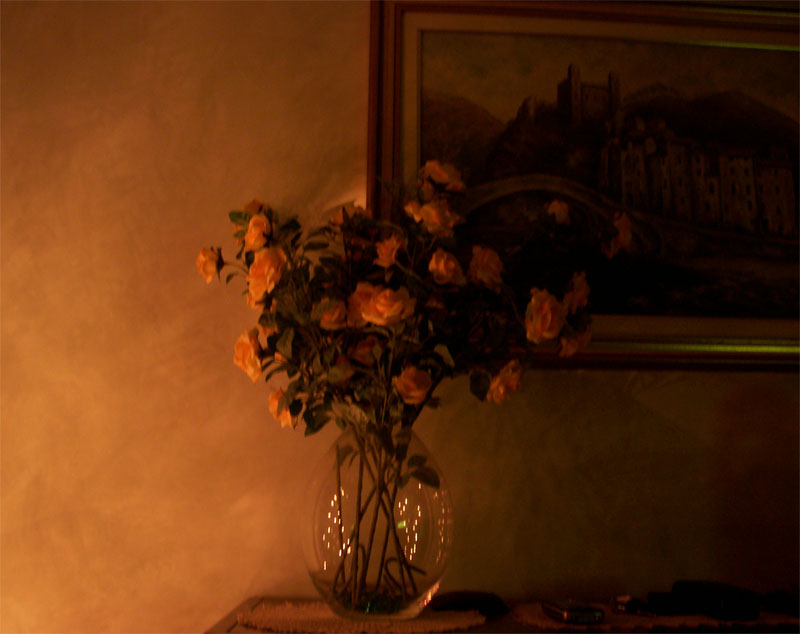 fiori4.jpg