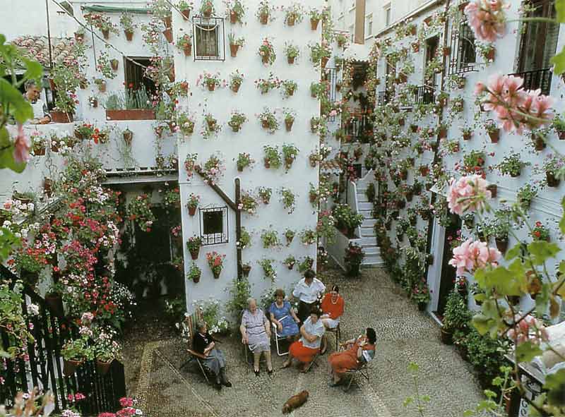 fiori.jpg