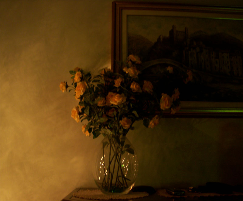 fiori.jpg