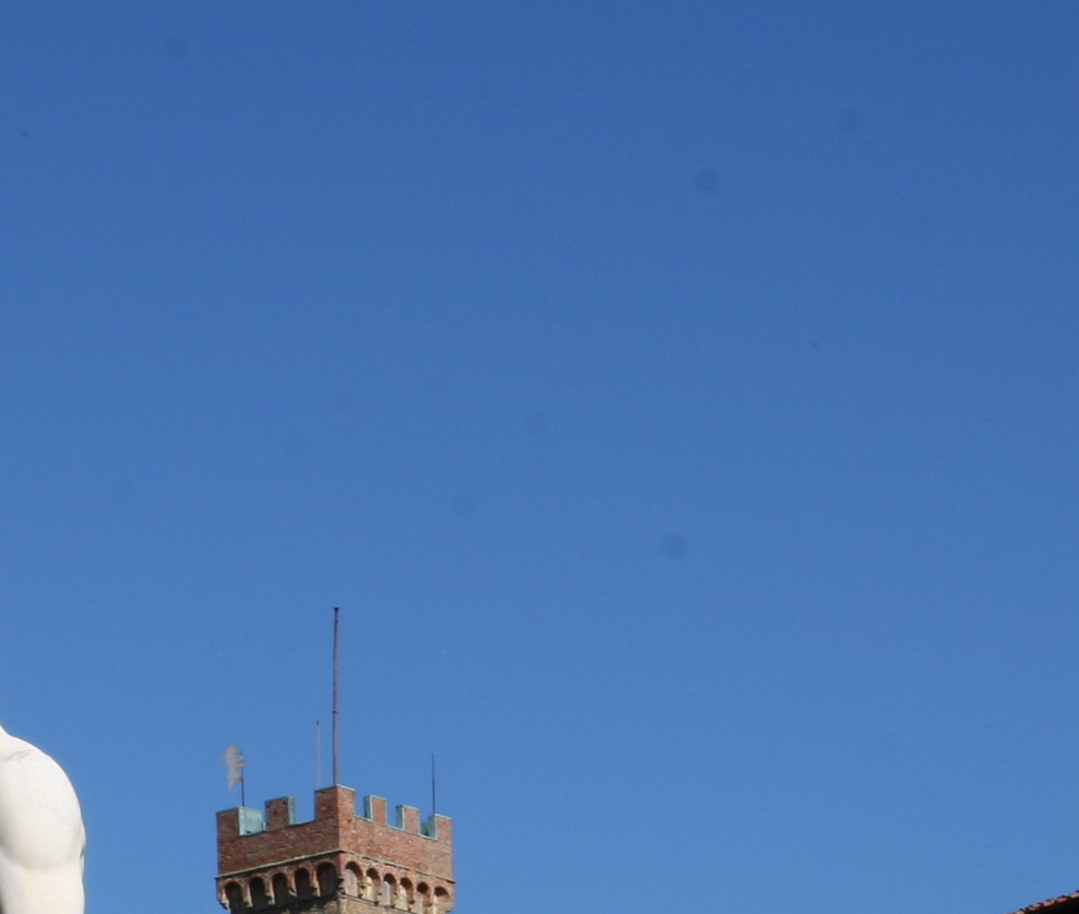 firenze1 particolare.jpg