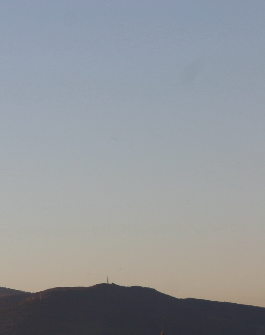 firenze2 particolare.jpg