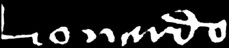 firma.jpg