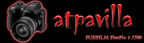 firmaatpavilla.jpg