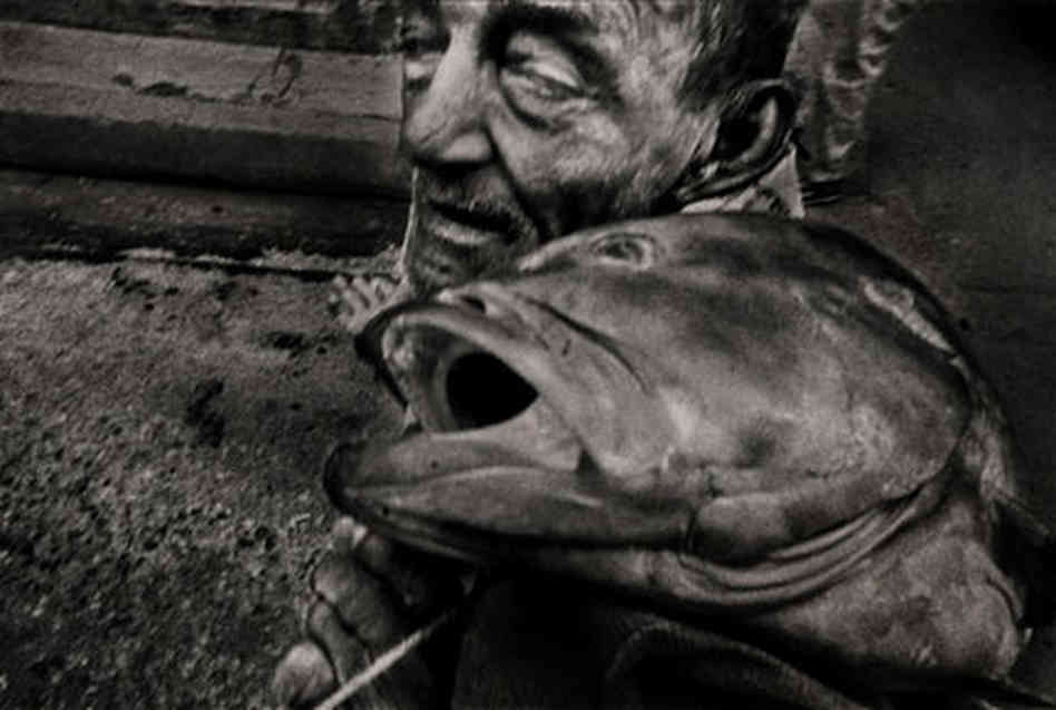 fish-13d8628a4fbfde2ba5a0b12c7d77cc3a4c0d965b-s6-c30.jpg