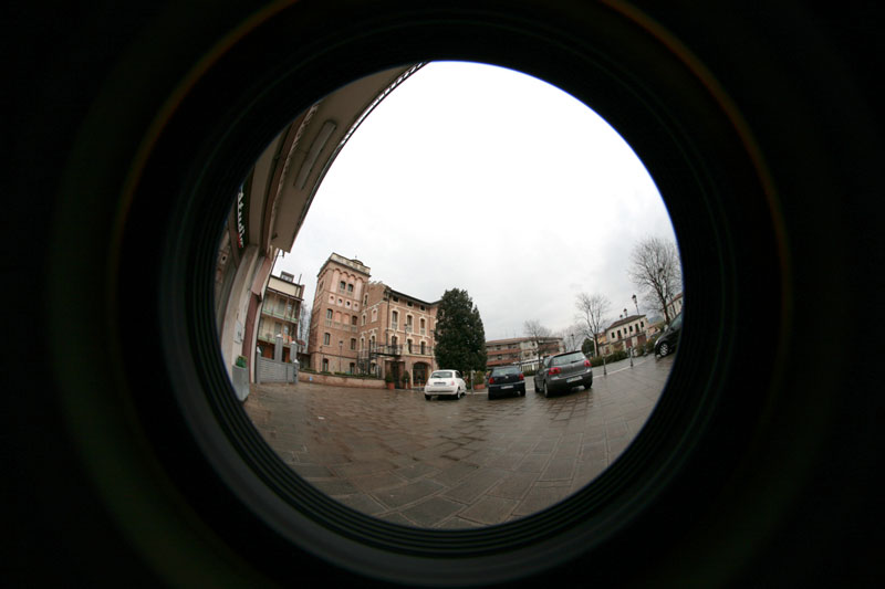 fish-eye-pfy.jpg