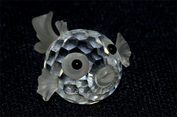 FISH.jpg
