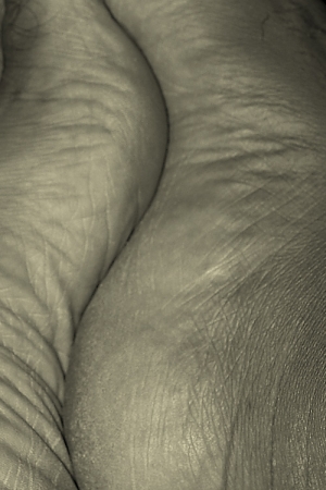 fit-nude-feet.jpg