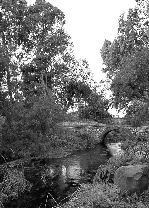 Fiume-dorato.012.jpg