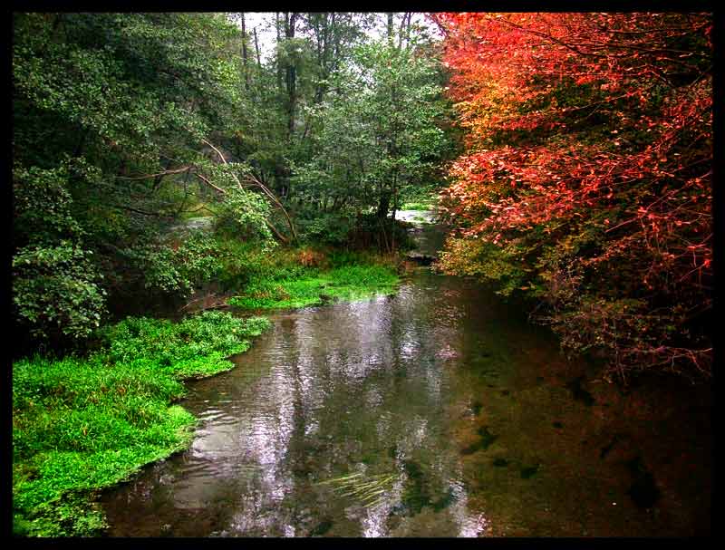 fiume_elsera.jpg