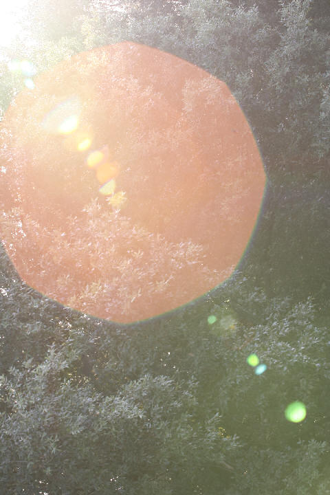 flare_03.jpg