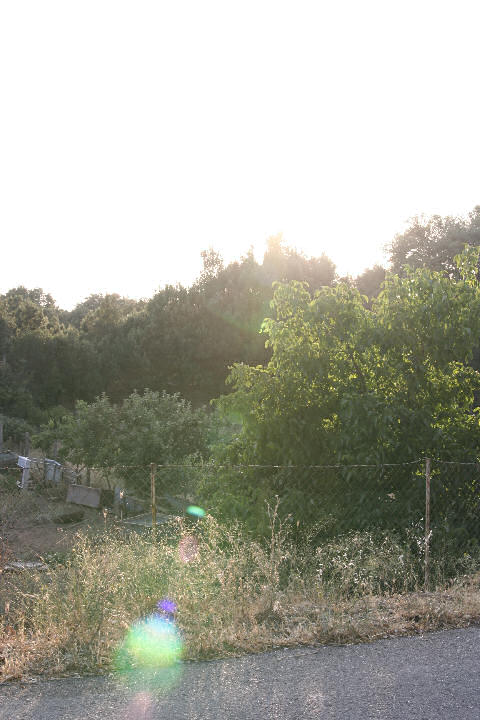 flare_05.jpg