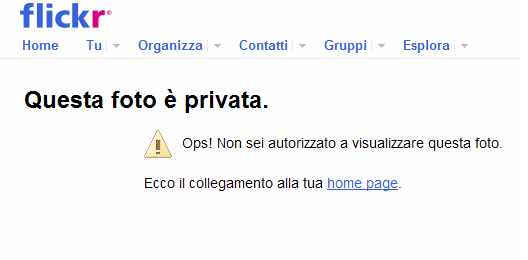 flickr.PNG