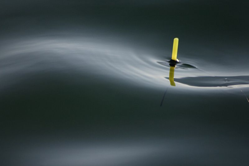 floating.jpg