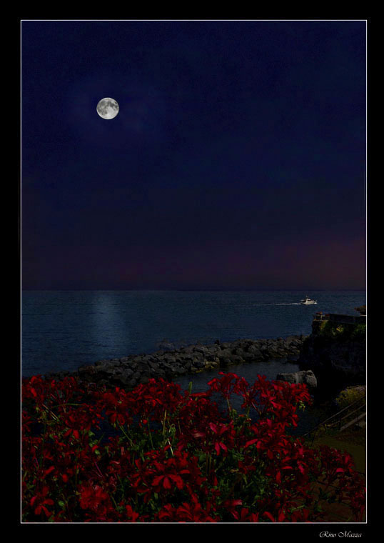Floreata-al-chiaro-di-luna.jpg