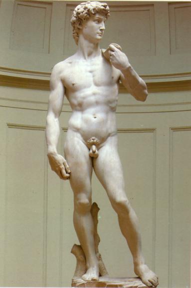 Florence Michelangelo's David.jpg