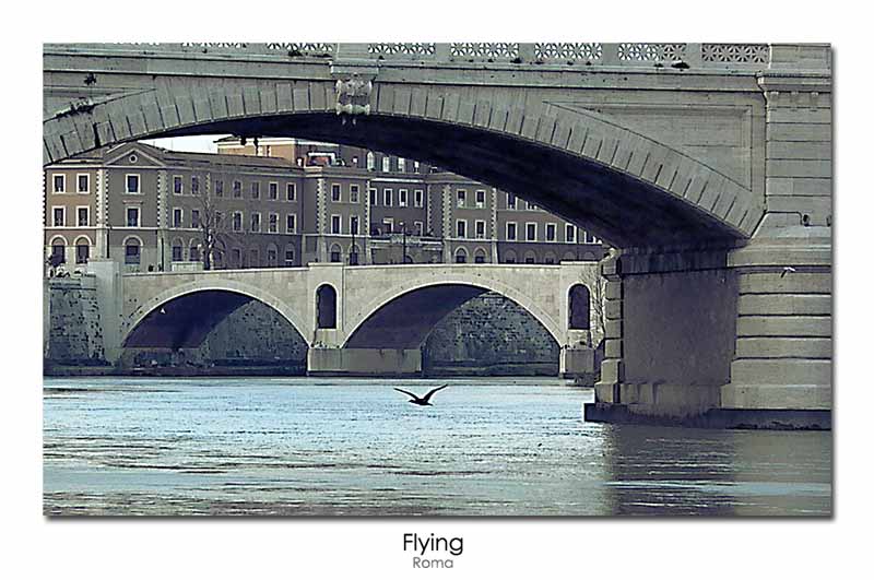 flying.jpg
