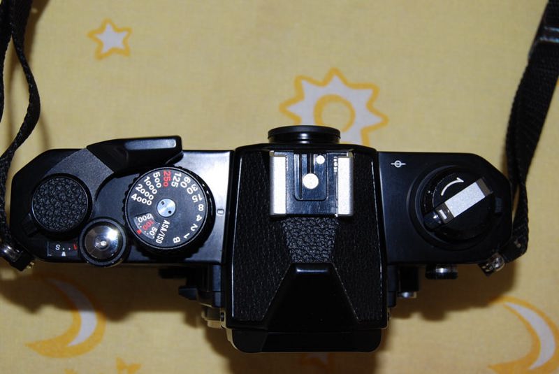 FM2_3-800x600.jpg