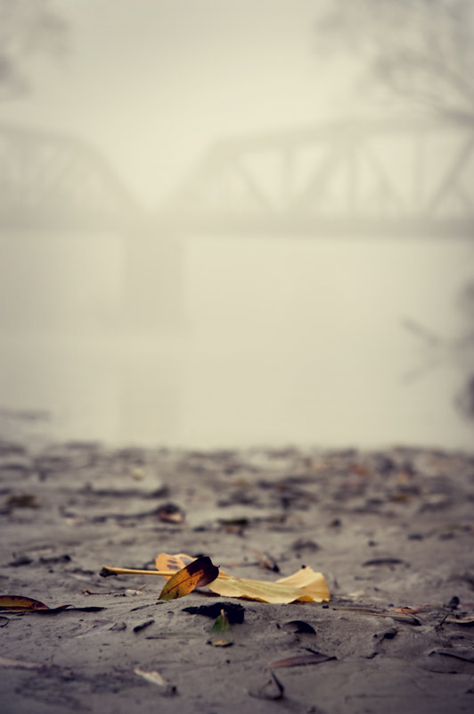 fog 1.jpeg
