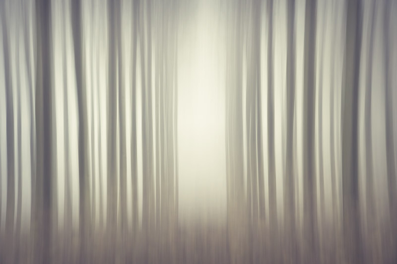 fog 6.jpeg