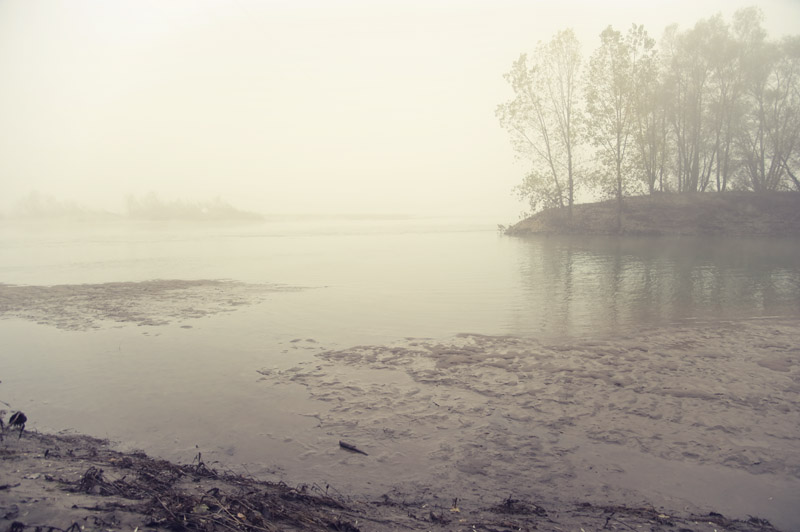 fog 7.jpeg