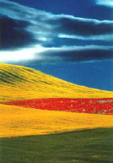 Fontana-PaesaggioImm.2000.jpg