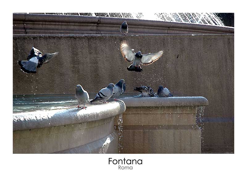 fontana.jpg