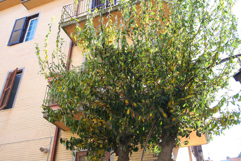 forum_194_seconda.jpg