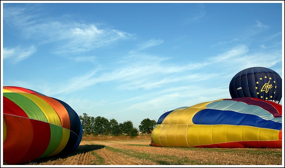 forum baloons4 4u.jpg
