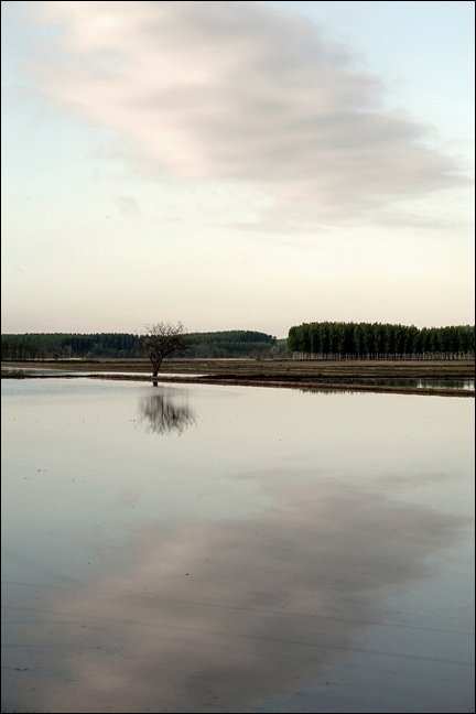Foto-6.jpg