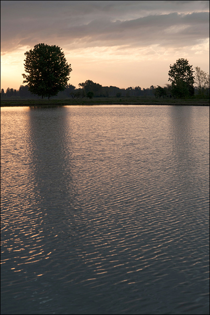 Foto-8.jpg