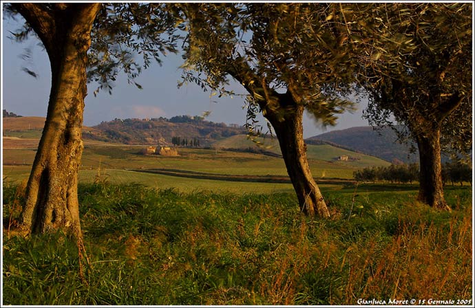 foto-del-ritratto.jpg