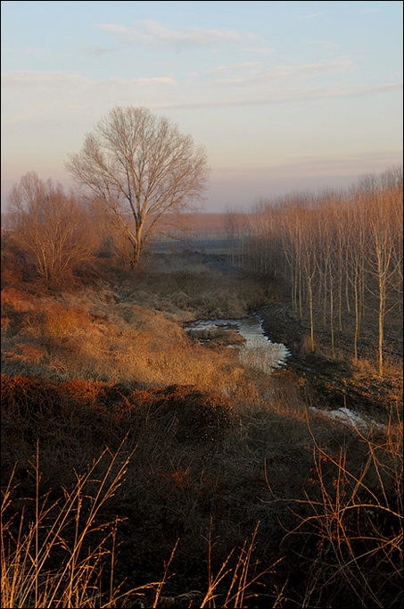 foto-di-base_920.jpg