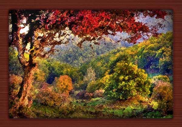 foto-quadro copy.jpg