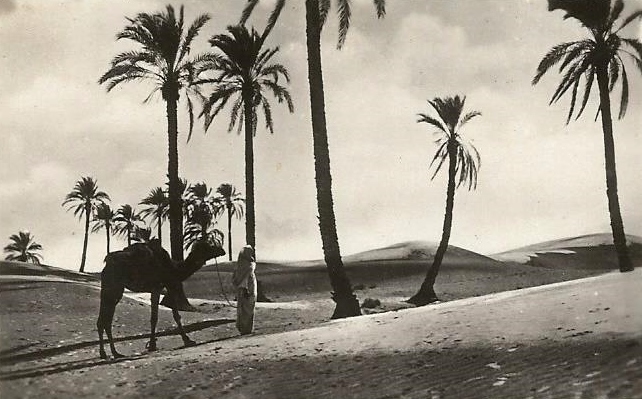 foto13.jpg