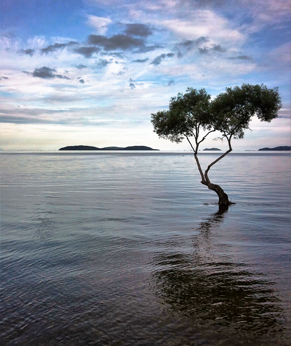 Foto150 (2)-1 - Copia.jpg