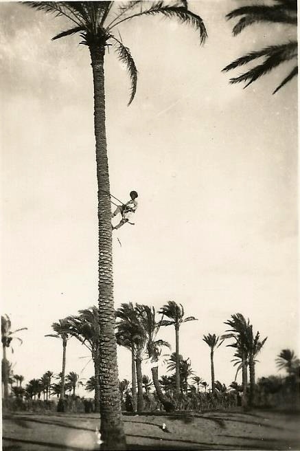 foto15.jpg